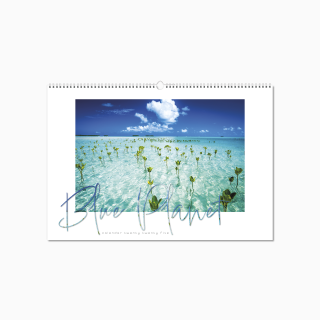 100815-blue-planet-wall-calendar-cover-wiro.png