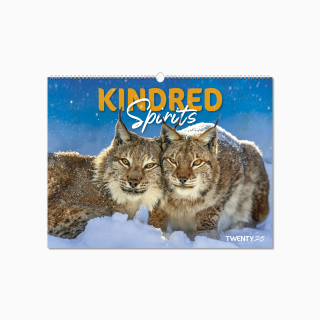 101015-kindred-spirits-wall-calendar-cover-wiro.png