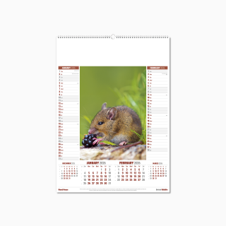 106915-british-wildlife-wall-calendar-jan-feb.png