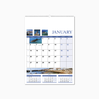 601515-organiser-wall-calendar-january-wiro.png