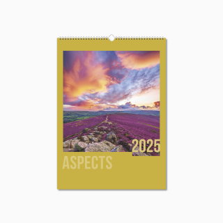 NWO021-aspects-optima-wall-calendar-cover-wiro.png